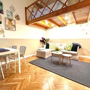 Almassy Residence-Modern Studio