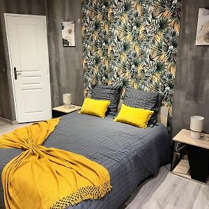 Elite Studio 14