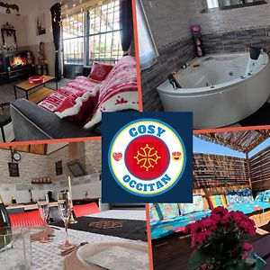 cosy occitan villa renové independante terrasse jardin bien située