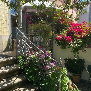 Vila Camelia