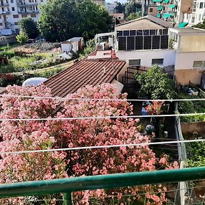 Mary&Flo House - A Due Passi Dal Centro - Free Private Parking