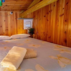 La Casa Del Druida