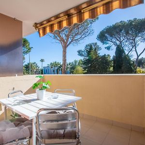 Appartement Supérieur à 1 Chambre à Coucher