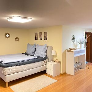 Ruhiges Privates Zimmer In Freiburg, Zentrumsnah, Naehe Europapark