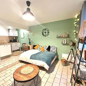 Studio Le Nid Rouennais, Calme En Hypercentre