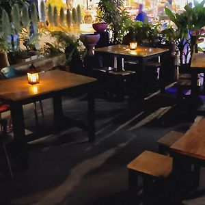 Lovely Guesthouse 94