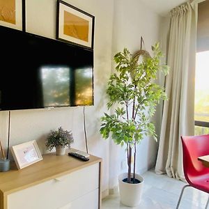 Loft Playa Suite Malaga
