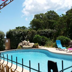 Appartement Climatise 35 M2 Pour 1 Couple - Piscine Partagee -