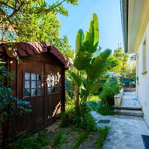 Appartement Supérieur à 1 Chambre à Coucher