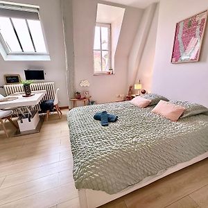 Le Petit Pote' Studio Dijon Hyper Centre