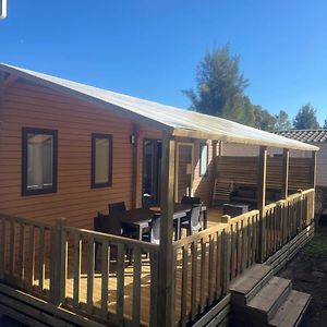 Mobil-Home Neuf 6 A 8 Pers Au Camping Les Palmiers, Hyeres