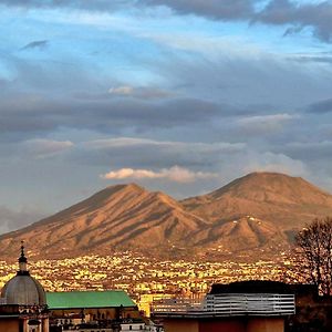 Olivella21 Vesuvio