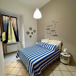 Casa Mavi