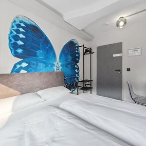 Chambre Standarde Lit King-Size