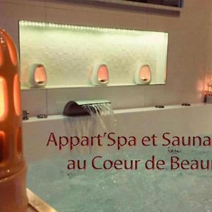 Appart' Spa et Sauna Privatif Au Cœur De Beaune