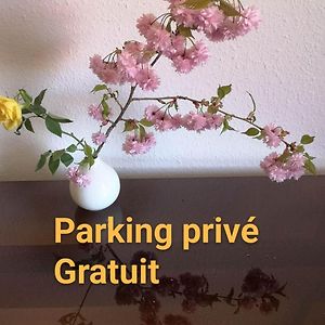 Appartement Zen Strasbourg Center Avec Parking