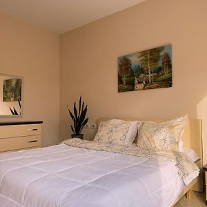 Ss City Apartment