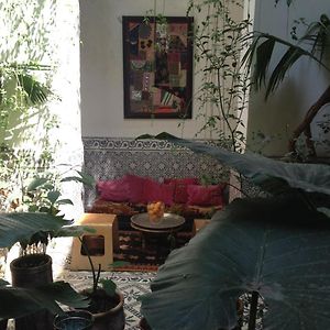 Riad Maiya
