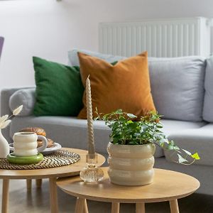 Appartement Loft 1 Chambre