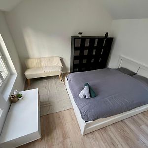 Studio Lit King-Size