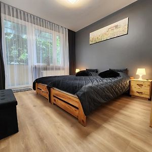 Grey Apartment Krakow
