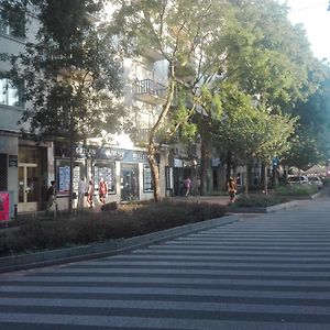 Pozsonyifirst Privat Rooms Margit Bridge