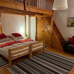 Sugar House City Center Apartment