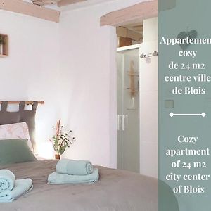 Blois City - Le Petit Saint Jean