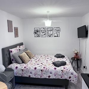 Le Patcho Charmant Studio Confortable & Chaleureux , Idealement Situe Proche Centre Ville Quartier Neustadt Tribunal, Contades
