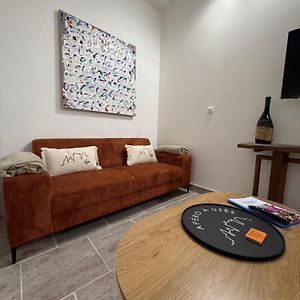 Magnifique , Appartement De Plain-Pied Avec Jardin Dans Le Centre