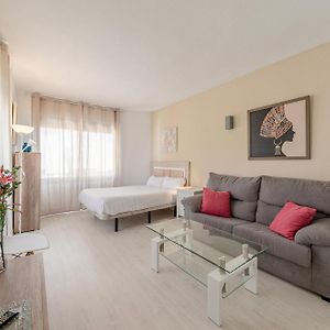 Appartement Supérieur à 1 Chambre à Coucher