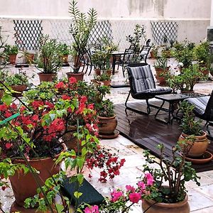 Sunny Green Terrace