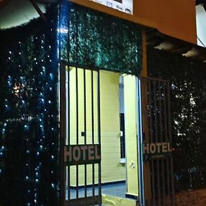 Guest House Alba
