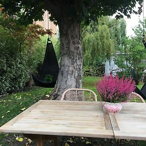 Petit cocon lillois:Cheminée&jardin