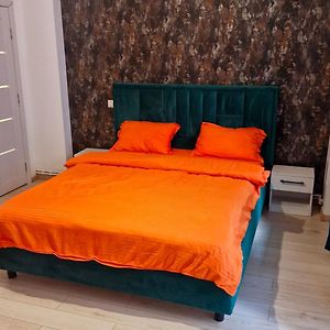 Imob Bibi House Universitate