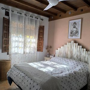 La Casita De Paco Albaicin