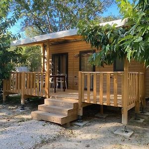 Lodges & Nature - 71