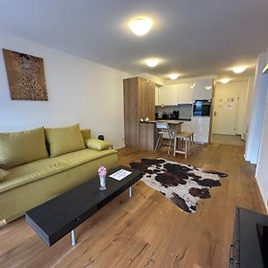Beauty Apartment Erlachgasse