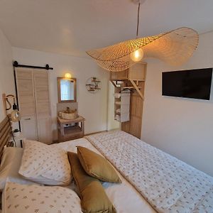 Appartement Studio