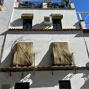 Maison 3 Chambres