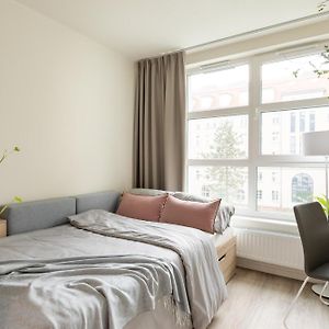 Studio Lit King-Size