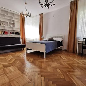 Cozy Spacious Apartment With Balcony