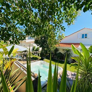 Evasion Tropicale - Villa D'Artiste Avec Jacuzzi Prive Dans Un Jardin Exotique