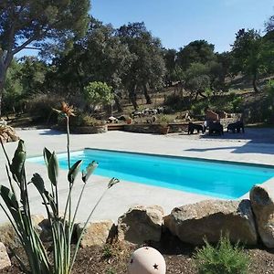 Dependance Dans Mas Traditionnel Avec Piscine