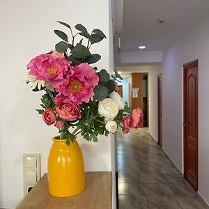Center Hostel&Guest House
