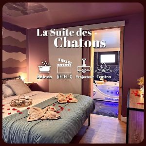 Maison 1 Chambre