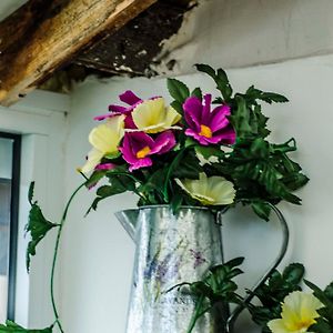 Off Vitosha Blvd Designer Studio