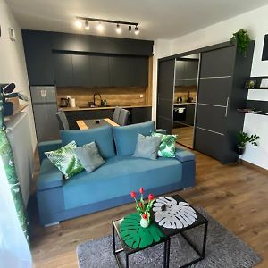 Appartement à 1 Chambre à Coucher