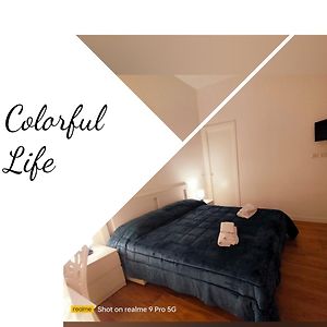 Chambre Standarde Lit King-Size