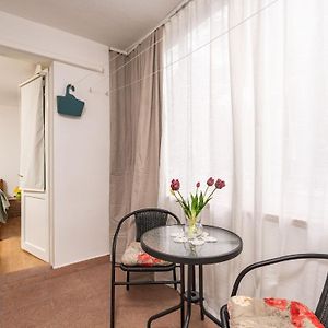 Apartment Lolo